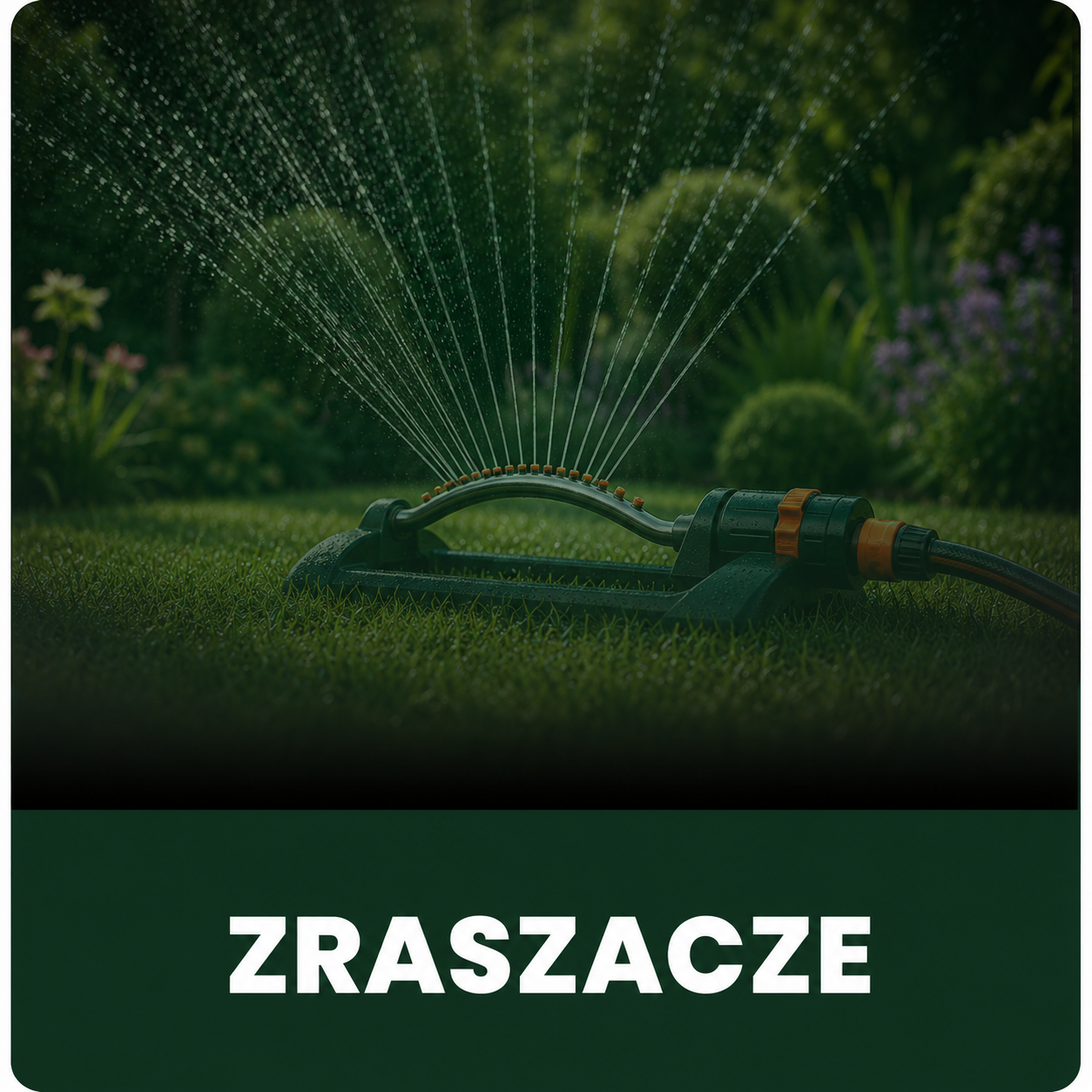 Zraszacze